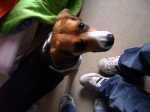 Begging for Breadcrumbs